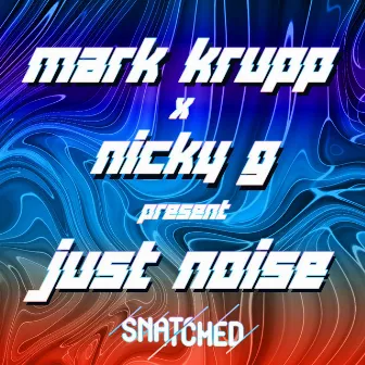 Just Noise (Radio Edit) by Nicky G