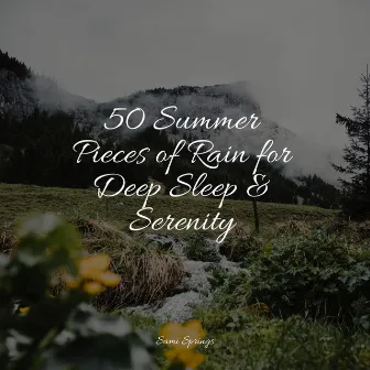 50 Summer Pieces of Rain for Deep Sleep & Serenity by The Rain Library