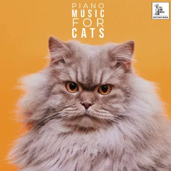 Piano Music For Cats by Music For Cats To Sleep To