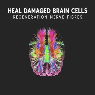 Heal Damaged Brain Cells: Regeneration Nerve Fibres, Nerve Regeneration & Brain Cells Regeneration, Damaged Brain Healing, Healing Binaural Beats, Neuronal Injury and Repair by Meditation Mantras Guru