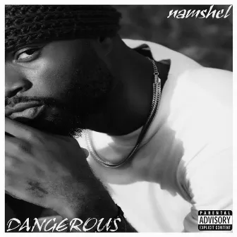 Dangerous by Namshel