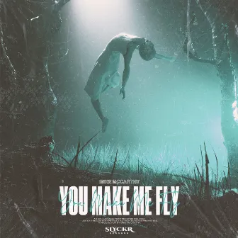 You Make Me Fly by Mike McCarthy