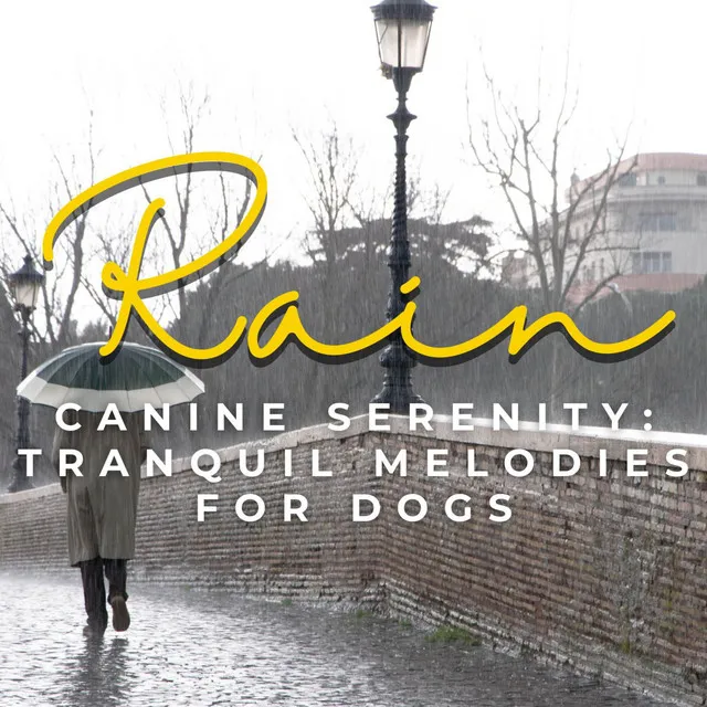 Rain's Canine Serenity: Tranquil Melodies for Dogs