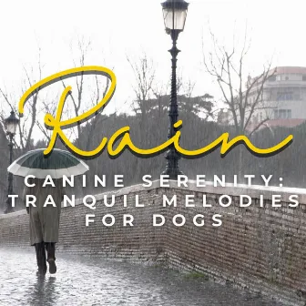 Rain's Canine Serenity: Tranquil Melodies for Dogs by Dog Sleep Academy