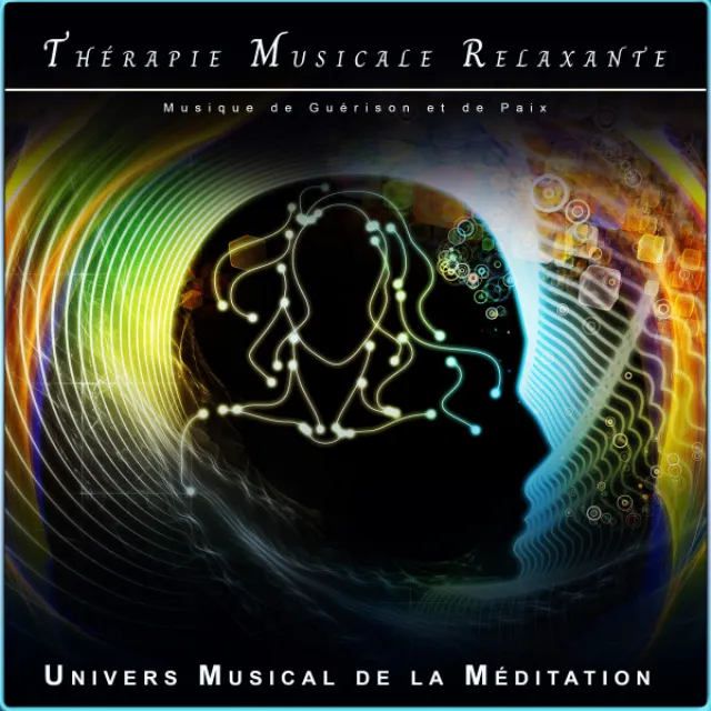 Vie Méditation Moments Musique