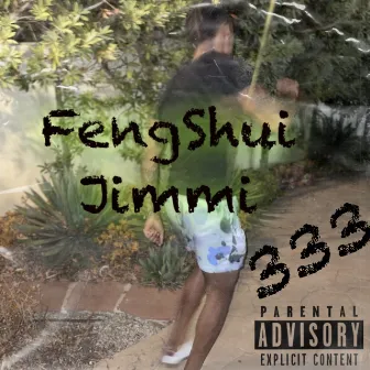 333 by Feng Shui Jimmi