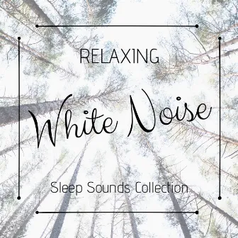 Relaxing White Noise: Sleep Sounds Collection by White Noise Machine