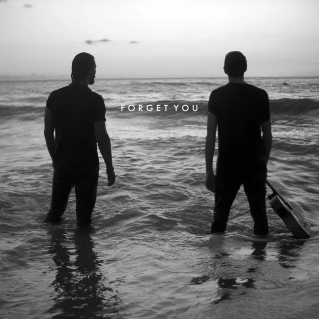 Forget You