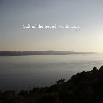 Meditations, Vol. 1 by Salt Of The Sound