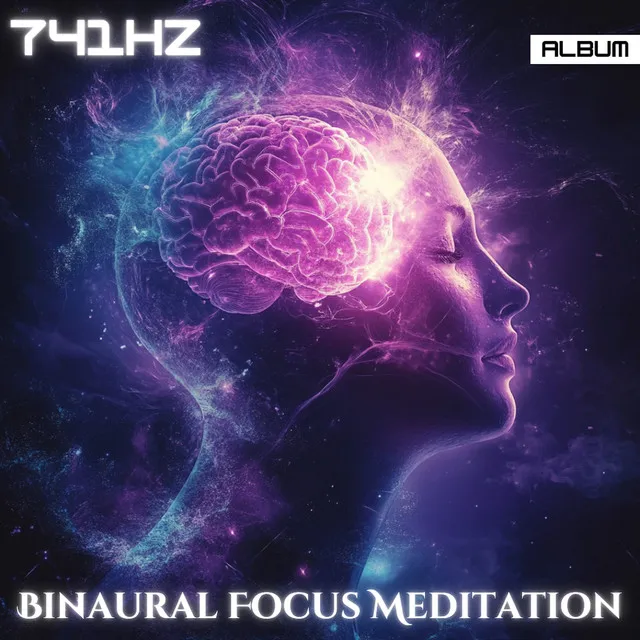 741 Hz Binaural Focus Meditation - Deep Concentration, Productivity & Study Boost