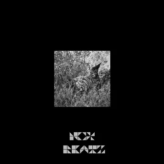 Meow by Nox Beatz