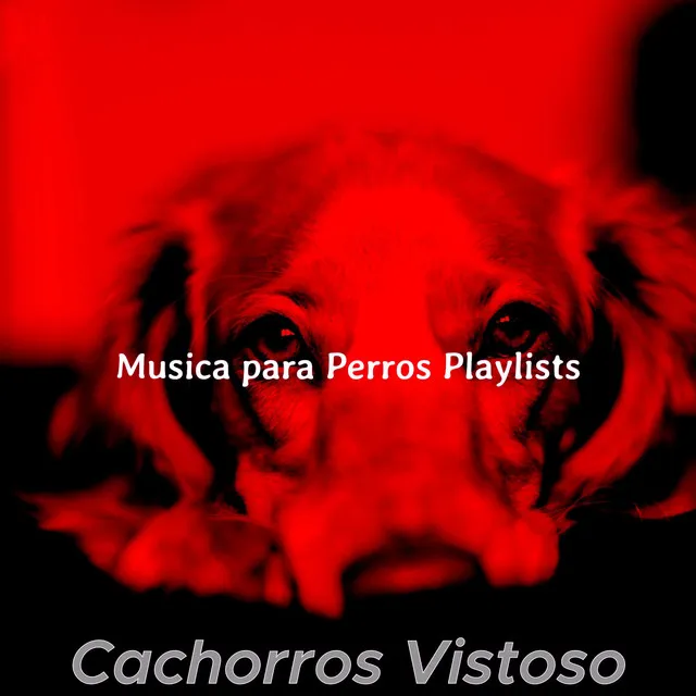 Calmante Musica para Perros