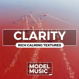 Clarity - Rich Calming Textures by Peter Ian Jones