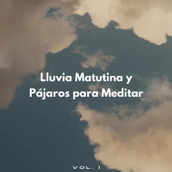 Lluvia Matutina Y Pájaros Para Meditar Vol. 1 by Pájaros en la mañana