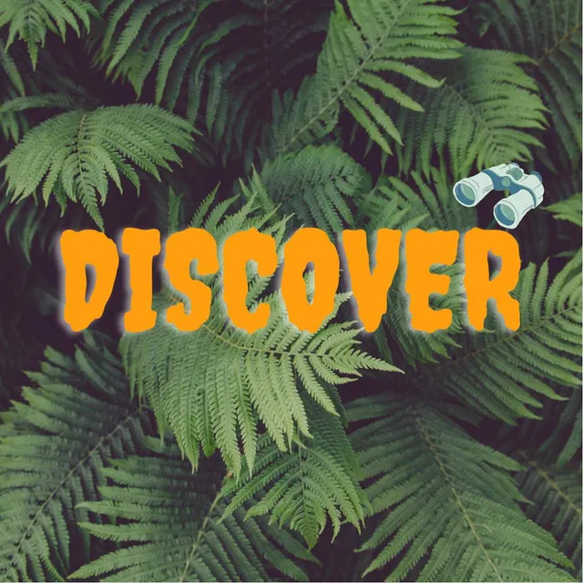 Discover