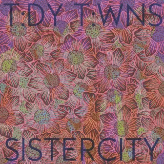 Sistercity by Tidy Towns