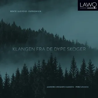 Klangen fra de dype skoger by Bente Illevold