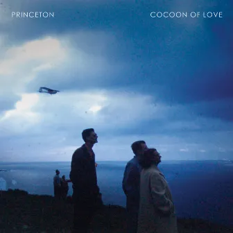 Cocoon of Love by Princeton