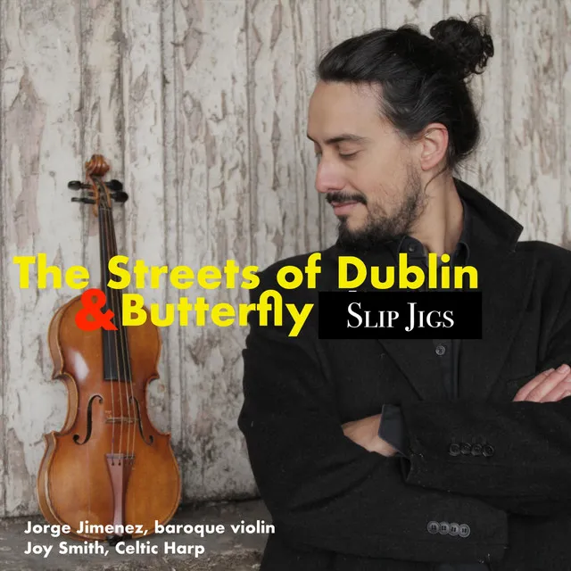 The Streets of Dublin / The Butterfly (Slip Jigs)