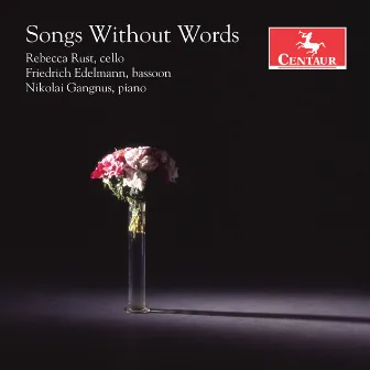 Songs Without Words by Rebecca Rust