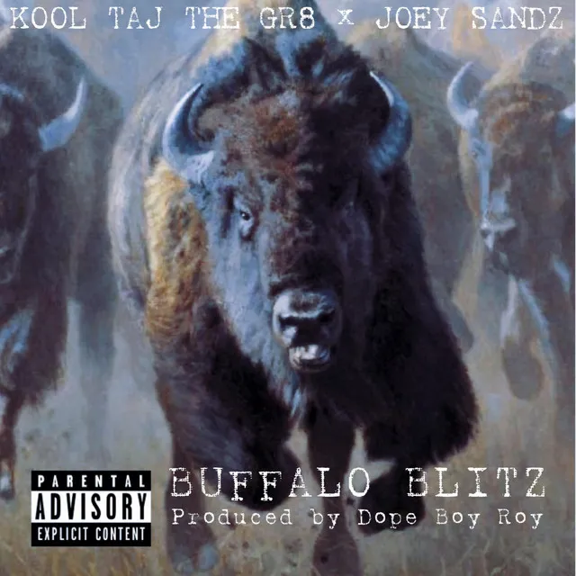 Buffalo Blitz