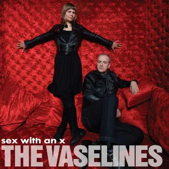 Sex With An X by The Vaselines