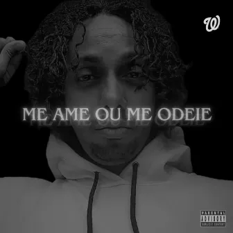 Me Ame ou Me Odeie by Wever