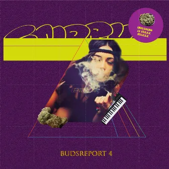 BUDSREPORT 4 by ENDRUN