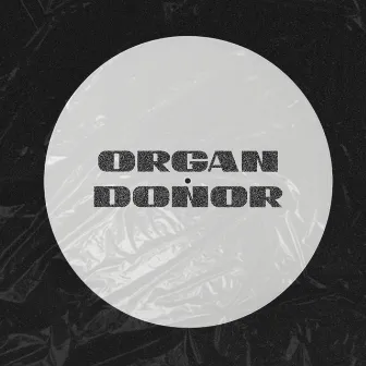 Organ Donor (Radio Edit) by MEMBR