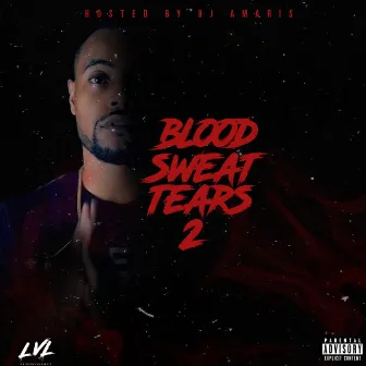 Blood Sweat & Tears 2 by Unknown Artist