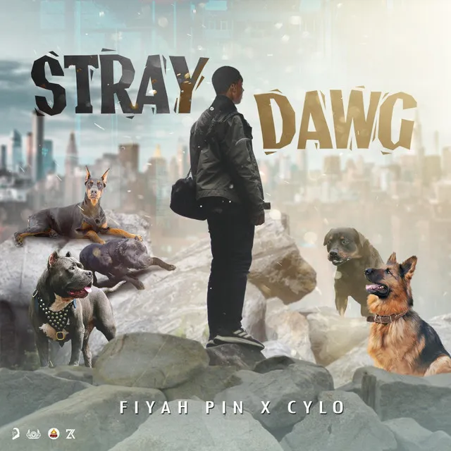 Stray Dawg