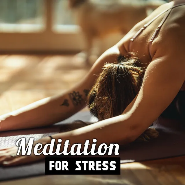 Meditation for Stress – Take a Deep Breath and Relax, Contemplations, Spirit Calmness, Think Positive