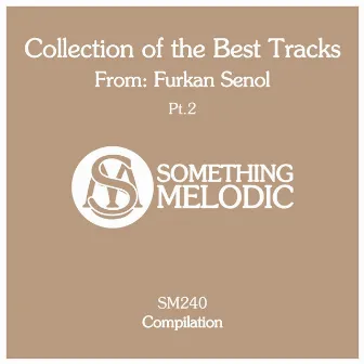 Collection of the Best Tracks From: Furkan Senol, Pt. 2 by Furkan Senol