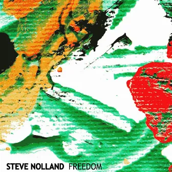 Freedom by Steve Nolland