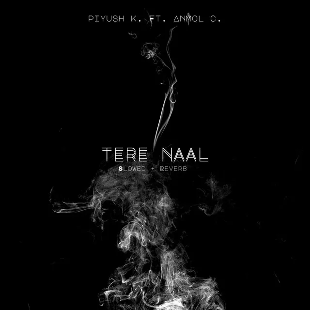 Tere Naal - Slowed + Reverb