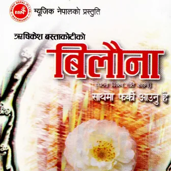 Bilauna by Madhav Bhandari