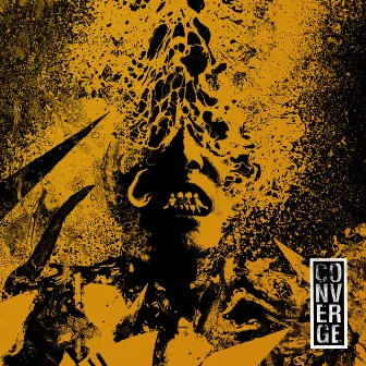 Beautiful Ruin by Converge