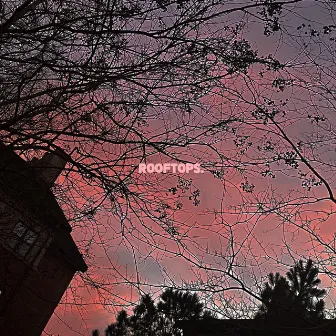 rooftops by Caleb Daniels