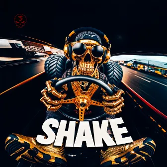 Shake by Shadow Beats Ec