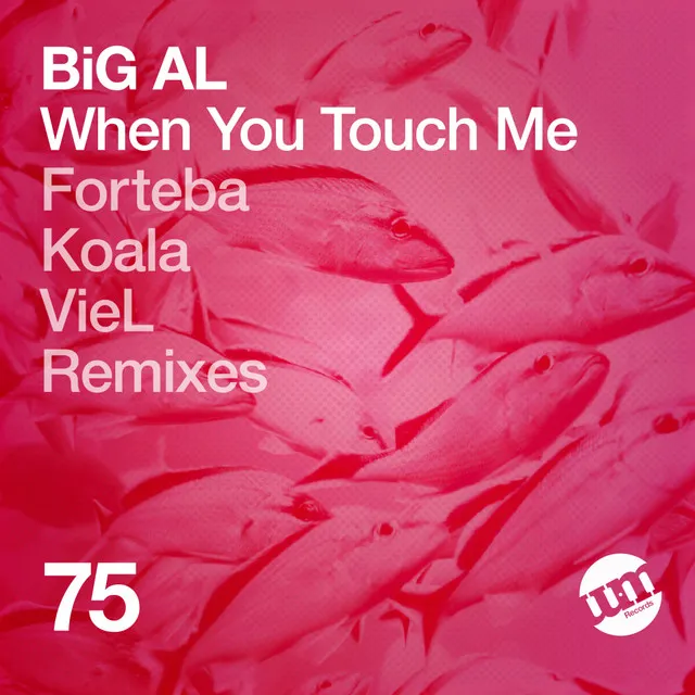 When You Touch Me - Forteba Remix