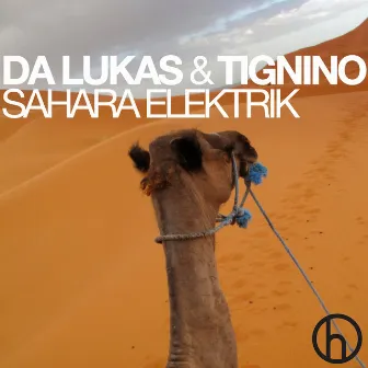 Sahara Elektrik by Tignino