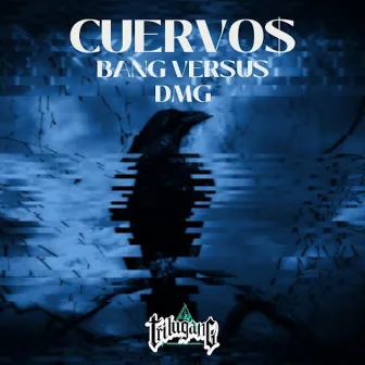 Cuervo$ by Bang Versus Dmg