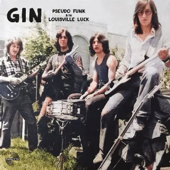 Pseudo Funk by GIN