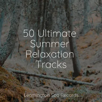 50 Ultimate Summer Relaxation Tracks by Unknown Artist