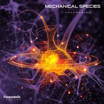 Ananadamide by Mechanical Species