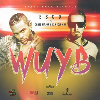 Wuyb by Esco