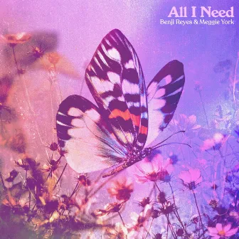 All I Need by Benji Reyes