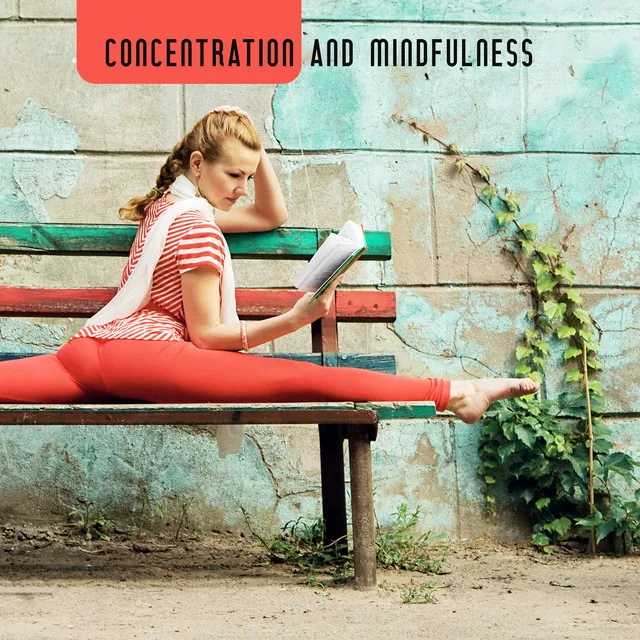 Concentration and Mindfulness – 15 Songs Perfect for Meditation or Yoga Training