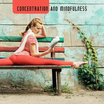 Concentration and Mindfulness – 15 Songs Perfect for Meditation or Yoga Training by Meditation Songs Guru