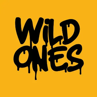 Wild Ones by Jacob and the Good People